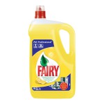     Fairy (5 ) FAIRY5L
